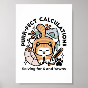 Póster Cálculos Perfectos – Diseño Divertido de Gato Mate