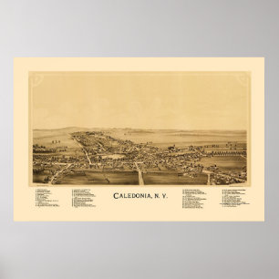 Póster Caledonia, Mapa Panorámico de Nueva York - 1892