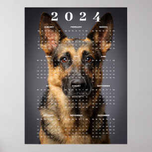 Póster Calendario 2024 de Fotos de Perro Pastor Alemán de