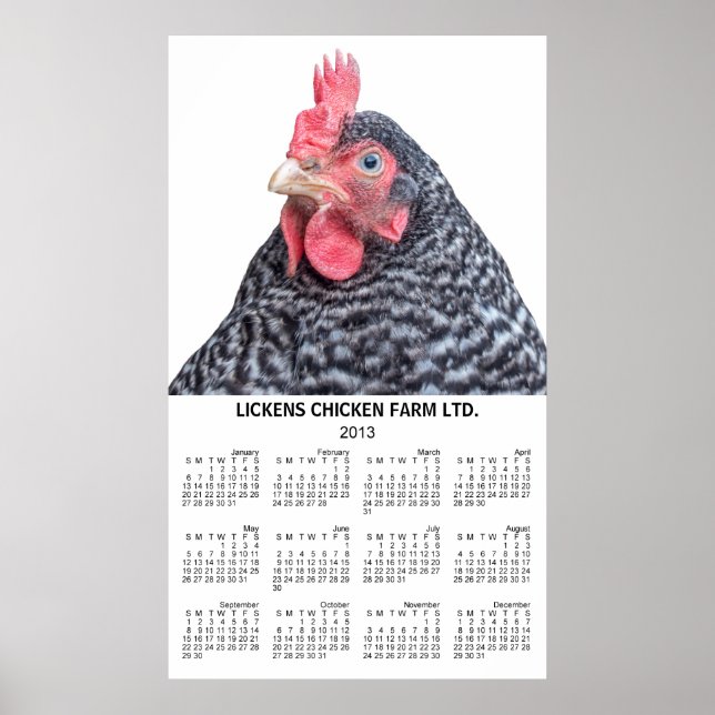 Póster Calendario Anual de Pared de Pollo Barred Rock 201 (Frente)