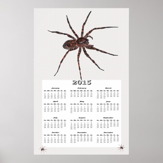 Póster Calendario Araña Lobo 2015 (Frente)