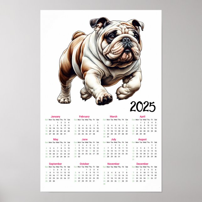 Póster Calendario Bulldog 2025 (Frente)