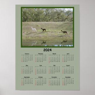 Póster Calendario - Calendario Alpaca 2024