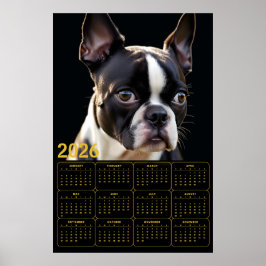 Póster Calendario de Boston Terrier 2026