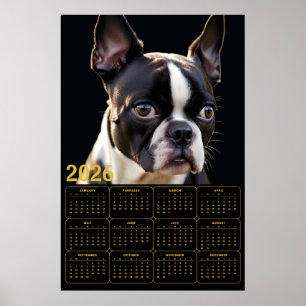 Póster Calendario de Boston Terrier 2026