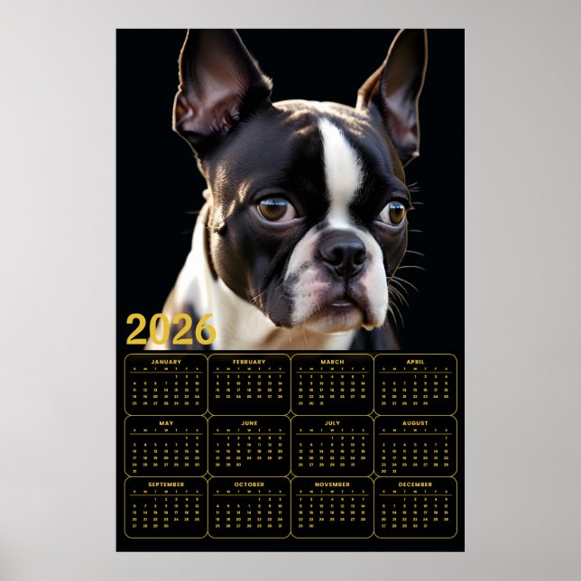Póster Calendario de Boston Terrier 2026 (Frente)