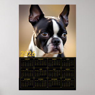 Póster Calendario de Boston Terrier 2026
