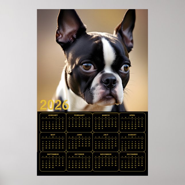 Póster Calendario de Boston Terrier 2026 (Frente)
