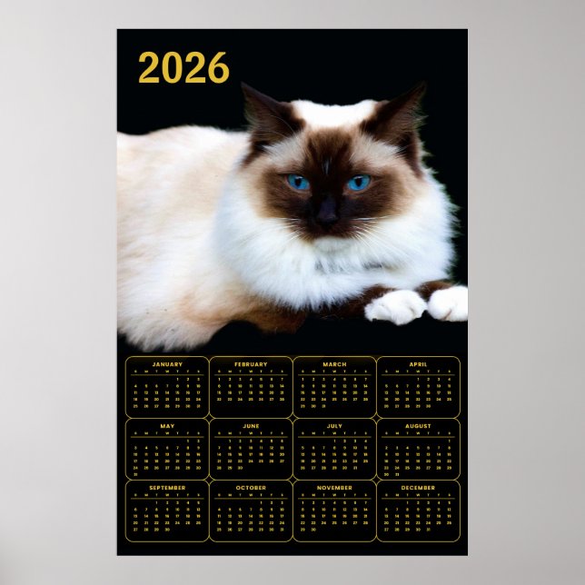 Póster Calendario de Gatos Birmanos 2026 (Frente)
