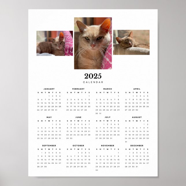 Póster Calendario de ginger 2025 de Tabby Cat Ginger (Frente)