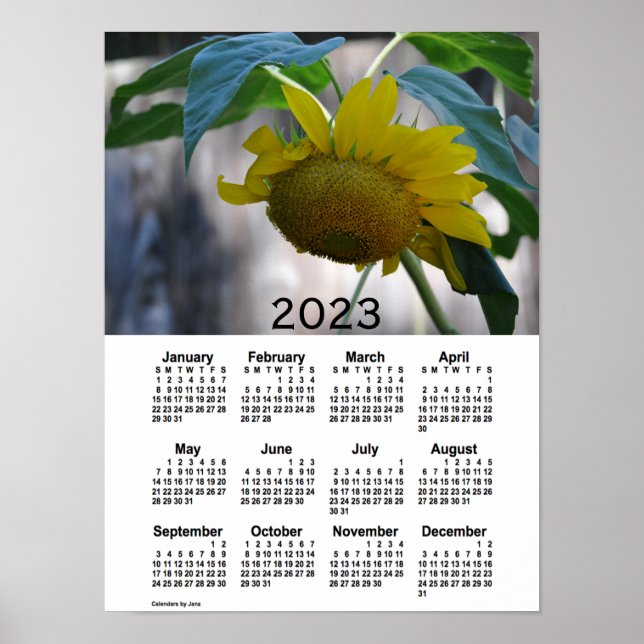 Póster Calendario de girasoles 2023, de Janz (Frente)