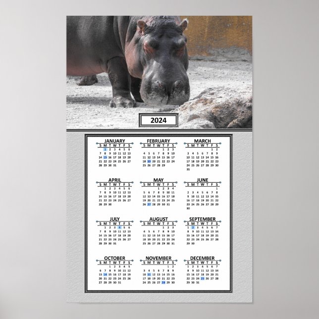 Póster Calendario de Hippo (Frente)