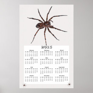 Póster Calendario de la araña lobo 2015