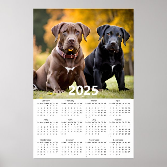 Póster Calendario de Labrador Recuperador 2025 (Frente)