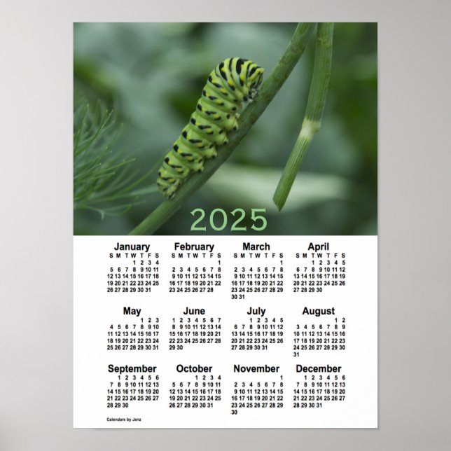 Póster Calendario de orugas tortuosas de barbecho de 2025 (Frente)