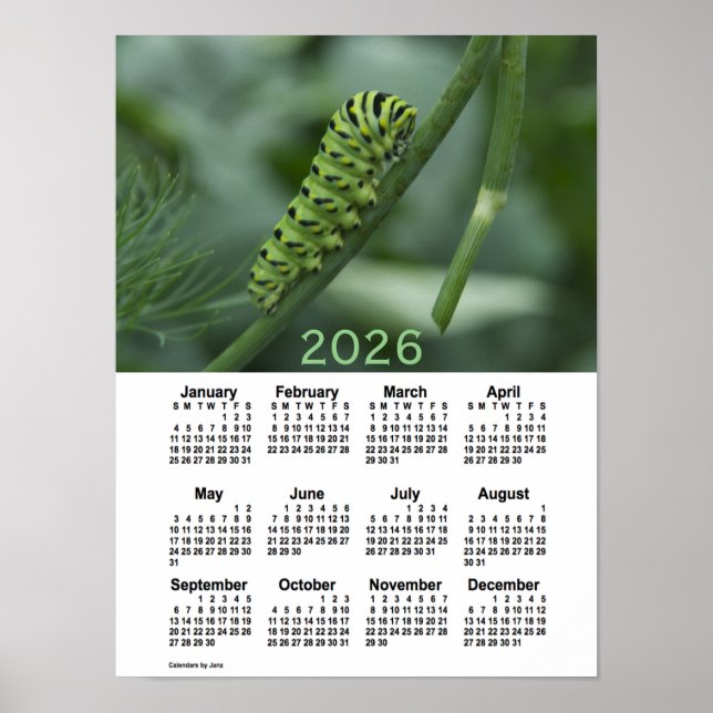 Póster Calendario de orugas tortuosas de barbecho de 2026 (Frente)