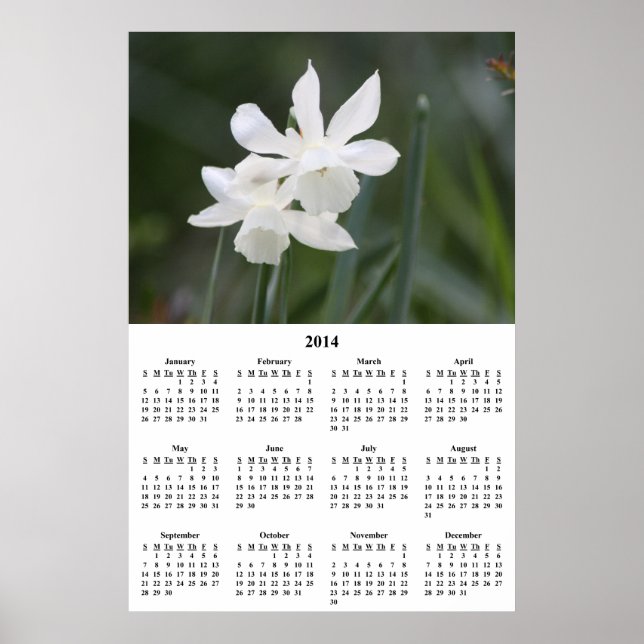 Póster Calendario de Pared de Daffodils Blancos 2014 (Frente)