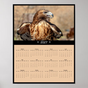 Póster Calendario de pared de Halcón de Cola Roja 2027 - 