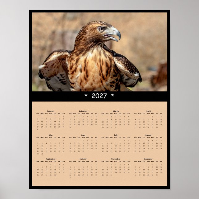 Póster Calendario de pared de Halcón de Cola Roja 2027 -  (Frente)
