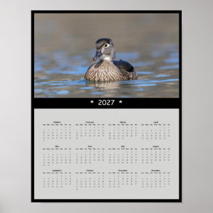 Póster Calendario de Pared de Pato de Madera 2027 - Aves