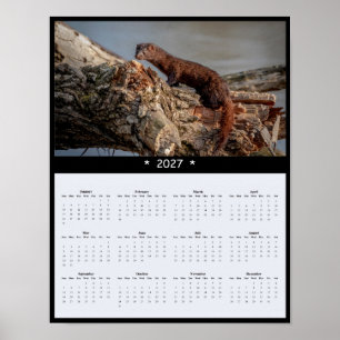 Póster Calendario de pared de visón americano 2027 - Vida