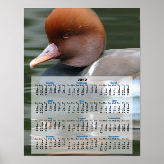 Póster Calendario de pato salvaje 2013