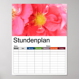 Póster Calendario de Rosas de Bush