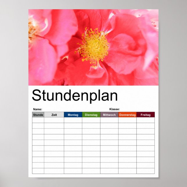 Póster Calendario de Rosas de Bush (Frente)