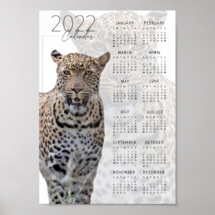 Póster Calendario de vida silvestre de leopardo 2022
