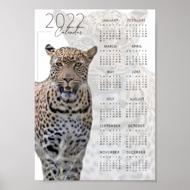 Póster Calendario de vida silvestre de leopardo 2022 (Frente)