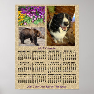 Póster Calendario Mensual de Granos de Café de 2017 3 Fot