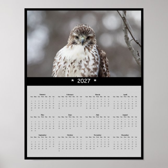 Póster Calendario mensual de pared de 2027 del Halcón de  (Frente)
