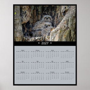 Póster Calendario mensual de pared de Búho Americano 2027