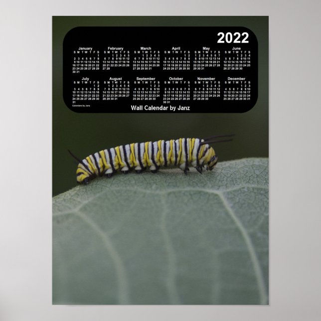 Póster Calendario Monarch Caterpillar 2022, por Janz (Frente)