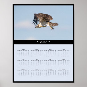 Póster Calendario mural 027 Águila pescadora - Rapaces pe