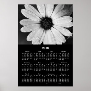 Póster Calendario mural 2018 Cartel de margarita africana