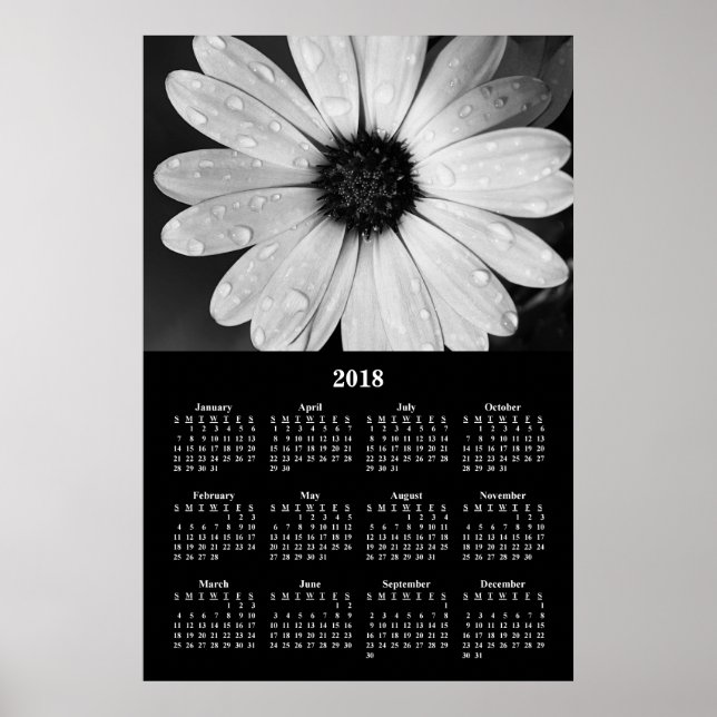 Póster Calendario mural 2018 Cartel de margarita africana (Frente)