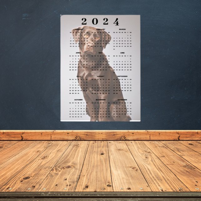 Póster Calendario mural 2024 de Labrador Retriever chocol (Subido por el creador)