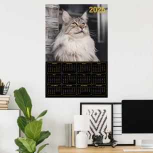 Póster Calendario mural 2026 del majestuoso gato Maine Co