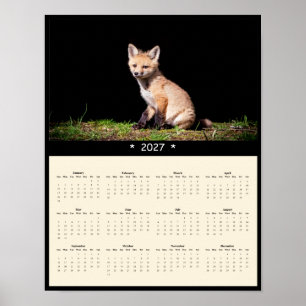 Póster Calendario mural 2027 de zorro rojo joven: pequeño