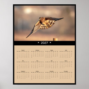 Póster Calendario mural 2027 del aguilucho norteño, halcó