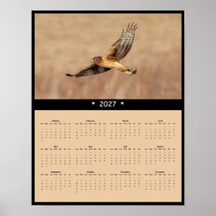 Póster Calendario mural 2027 del aguilucho norteño - Raba