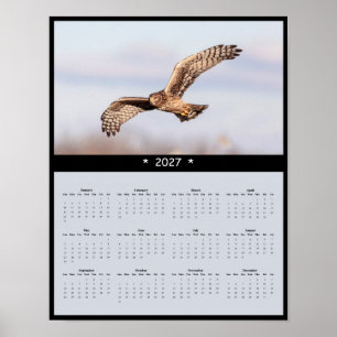 Póster Calendario mural 2027 del aguilucho pálido - Marsh