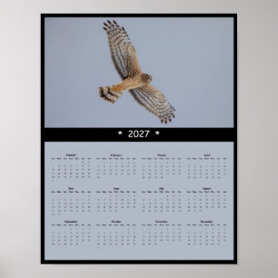 Póster Calendario mural 2027 del aguilucho pálido - Pasti