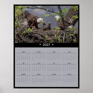 Póster Calendario mural de águila calva 2027 - Majestuosa