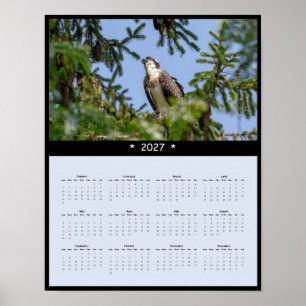 Póster Calendario mural de águila pescadora 2027 - Foto d
