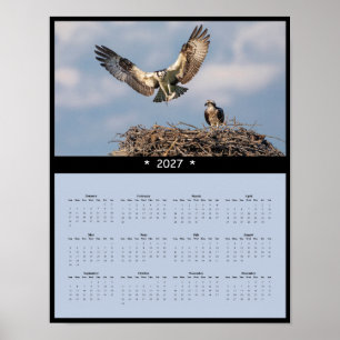 Póster Calendario mural de águila pescadora 2027 - Majest