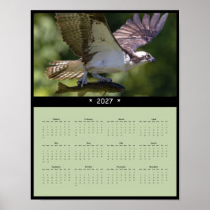 Póster Calendario mural de águila pescadora 2027 - Vida s