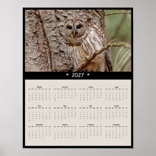 Póster Calendario mural de búho barredado 2027 - Ecos del