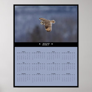 Póster Calendario mural de búho de orejas cortas 2027 - C